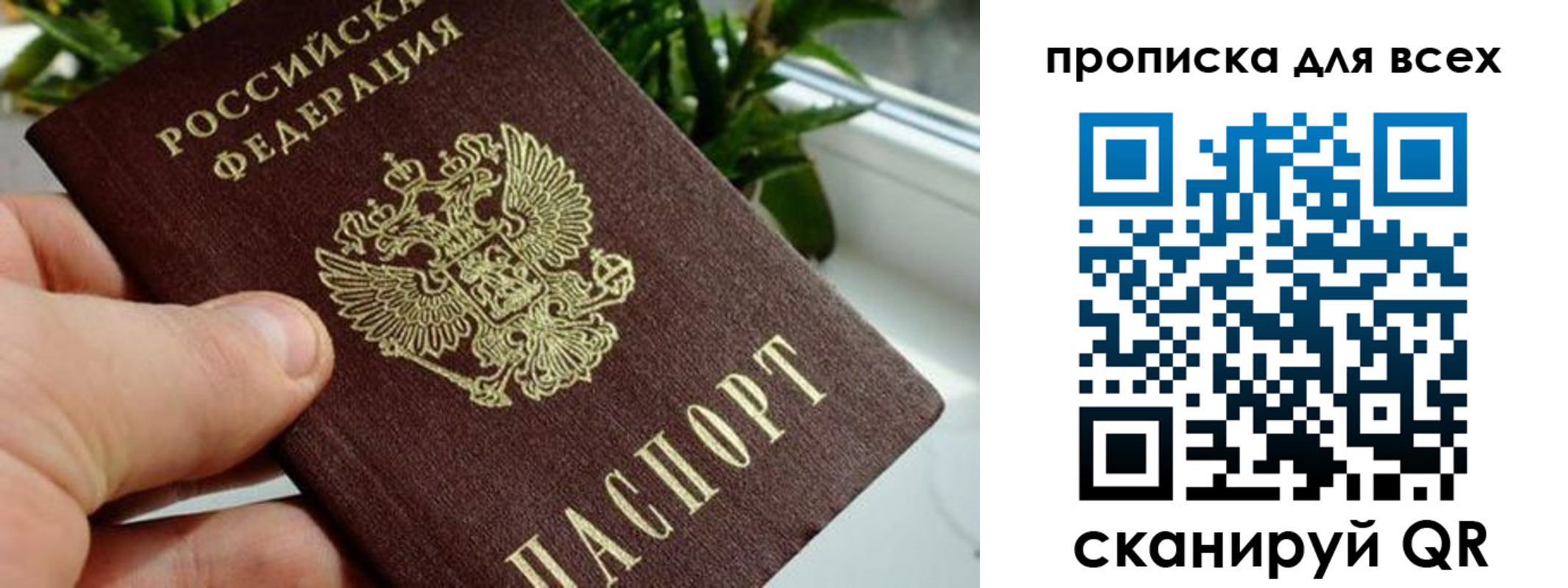 где прописаться в Одинцово